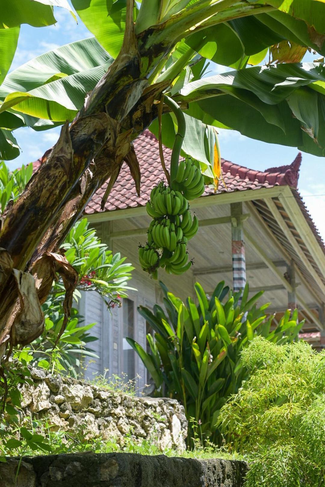 Mesari Hut Lembongan Hotel Kültér fotó